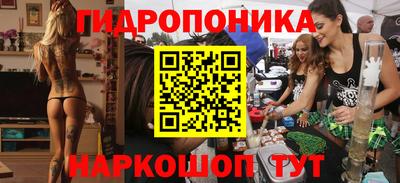 соль ск Дубна