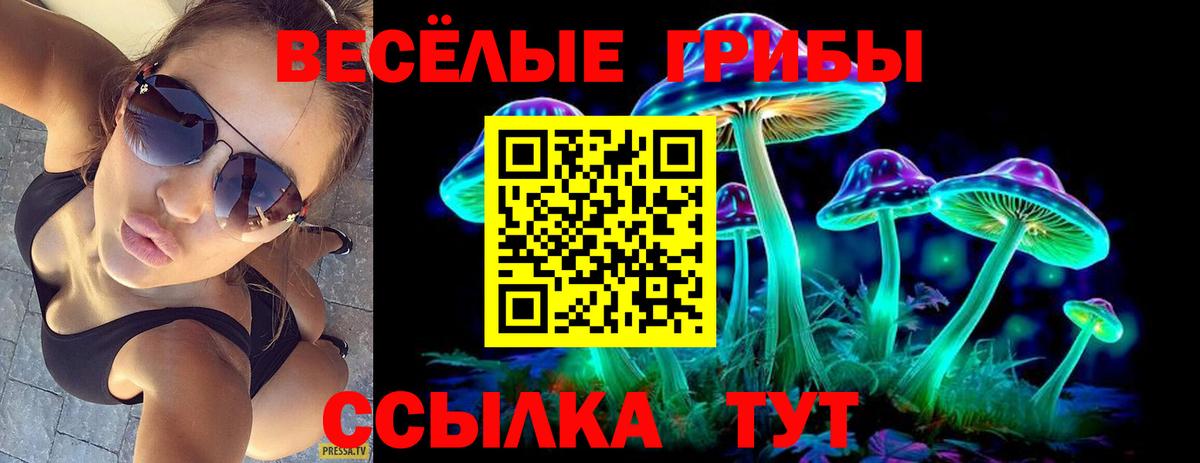 Псилоцибиновые грибы Cubensis  Верхний Уфалей 