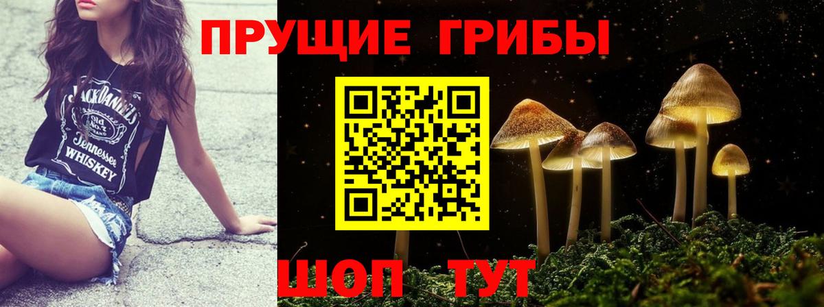 Псилоцибиновые грибы MAGIC MUSHROOMS  Вход с VPN  Верхний Уфалей 